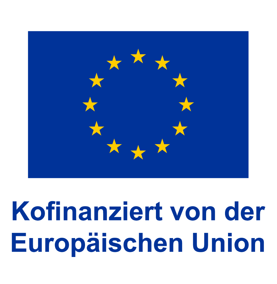 EU Logo